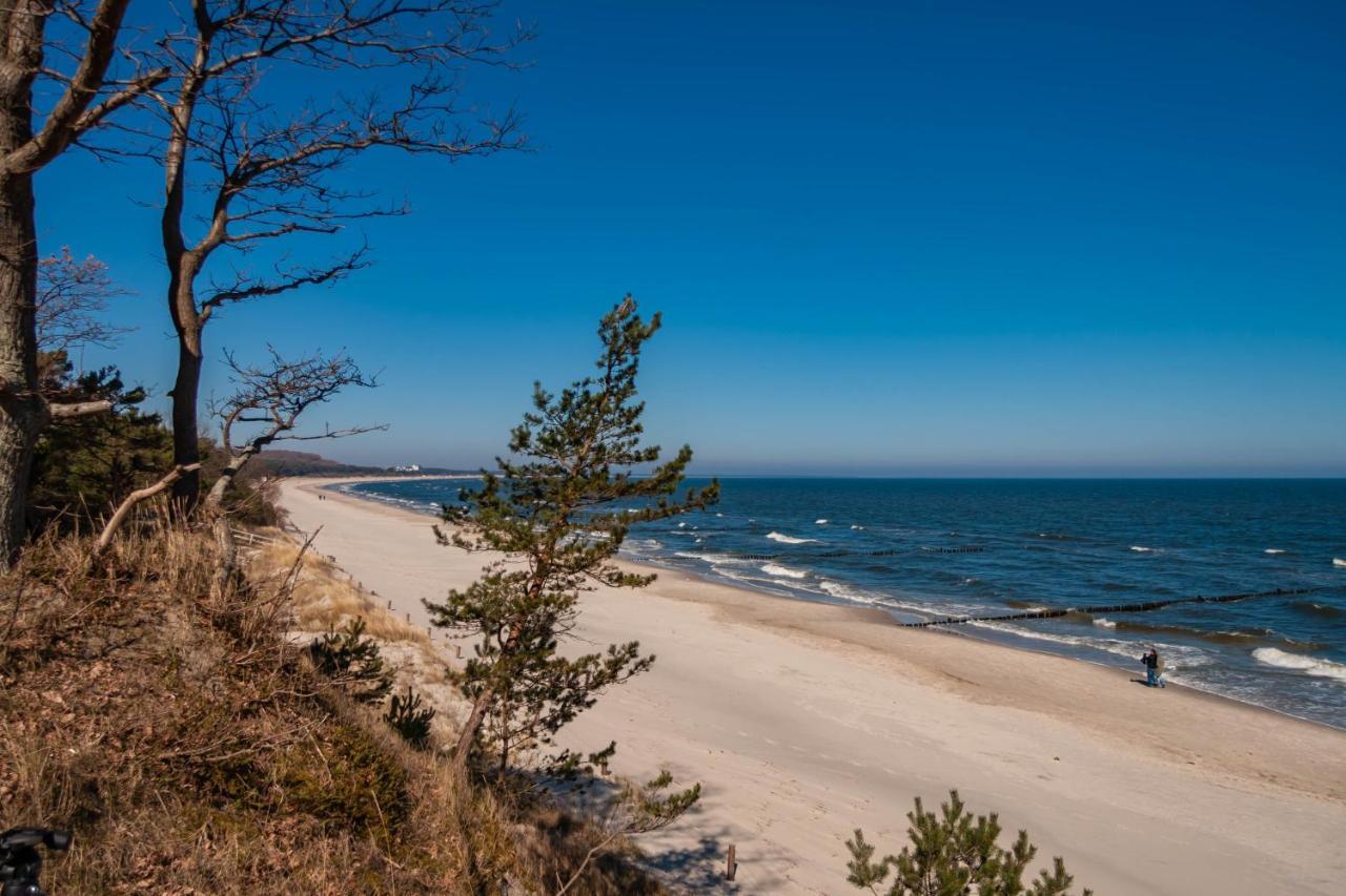 Apartment Ostseerose Ein Strandkorb Ist Im Sommer Inclusive Zempin Exteriér fotografie